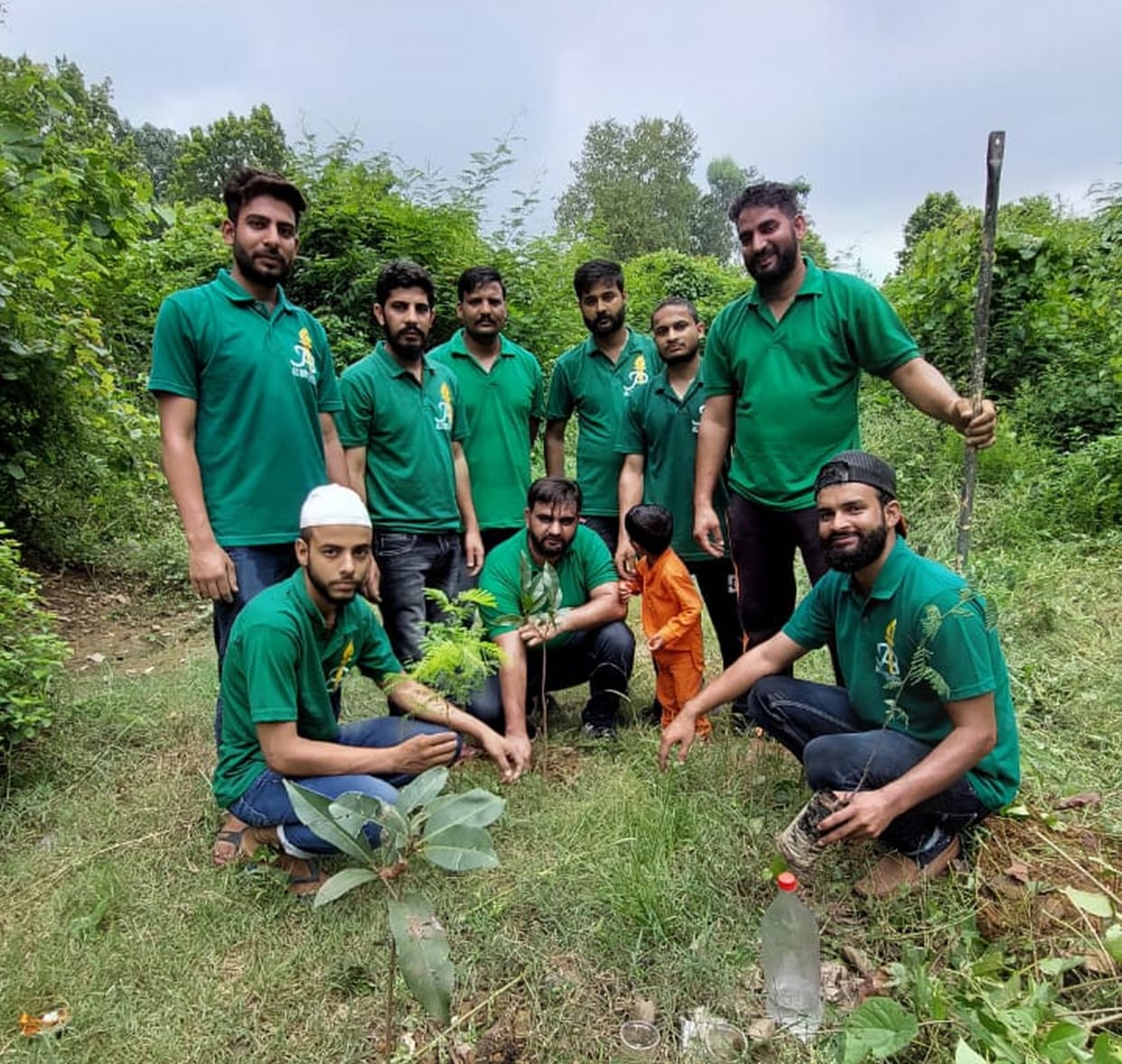 tree plantion programme