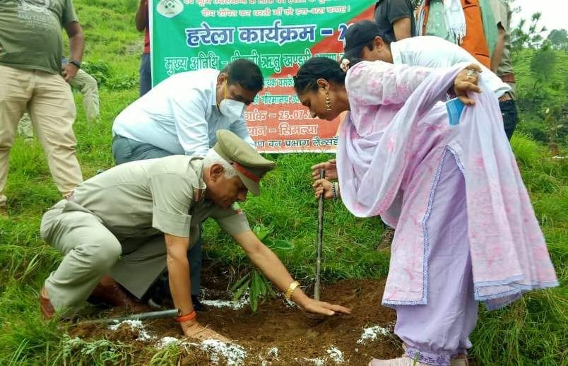 Yamkeshwar's MLA Ritu Khanduri planted saplings in the shade