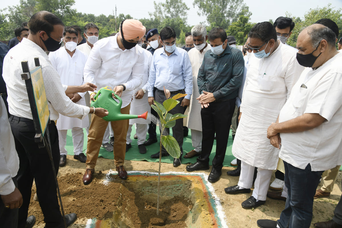 Minister of State for Sports inaugurated the 72nd Van Mahotsav by planting a sapling on Brahmasarovar