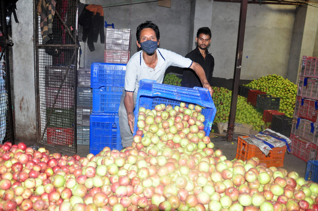 Arbitrary prices charged for apple cartons in Kullu
