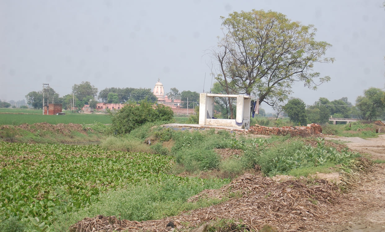 Kaithal's drain filled with hyacinth