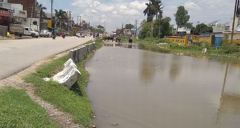 No Drainage