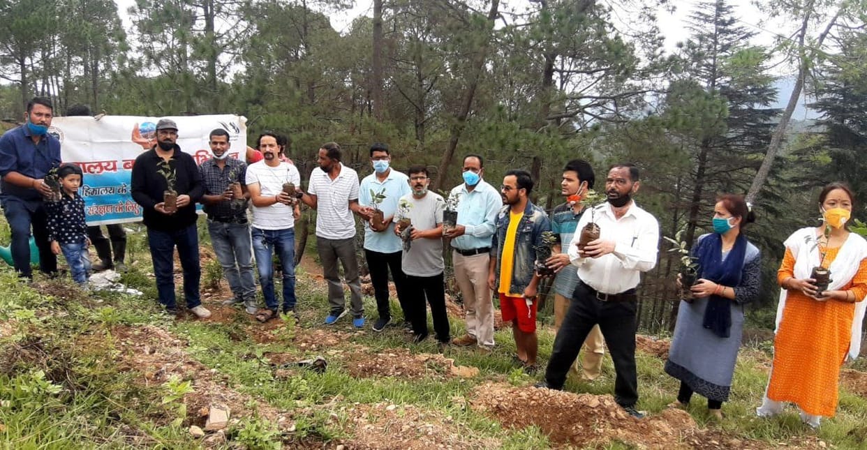 Plantation For NMOPS