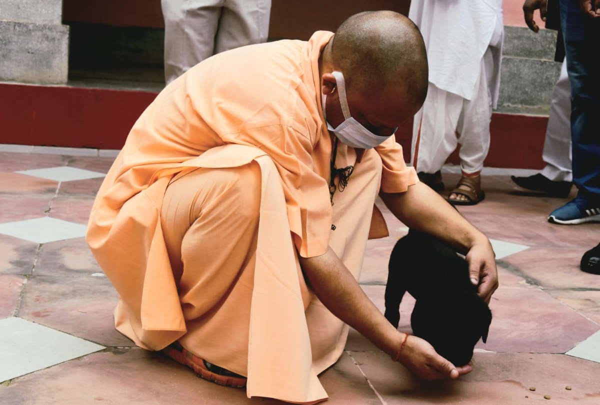 special story of cm yogi adityanath pet dog gullu in gorakhnath temple pictures viral in gorakhpur uttar pradesh