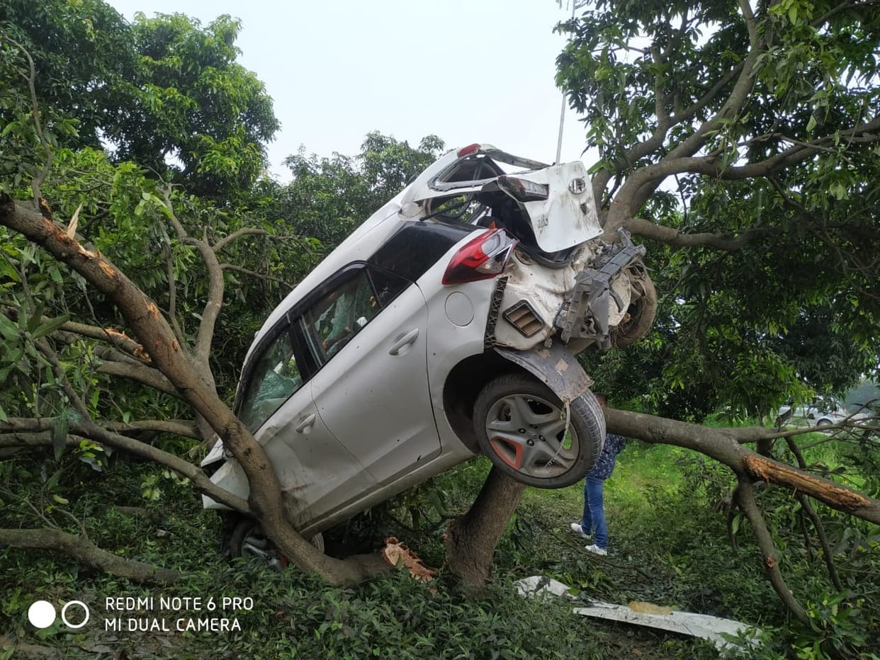 Car stuck in tree after falling into pit, three injured