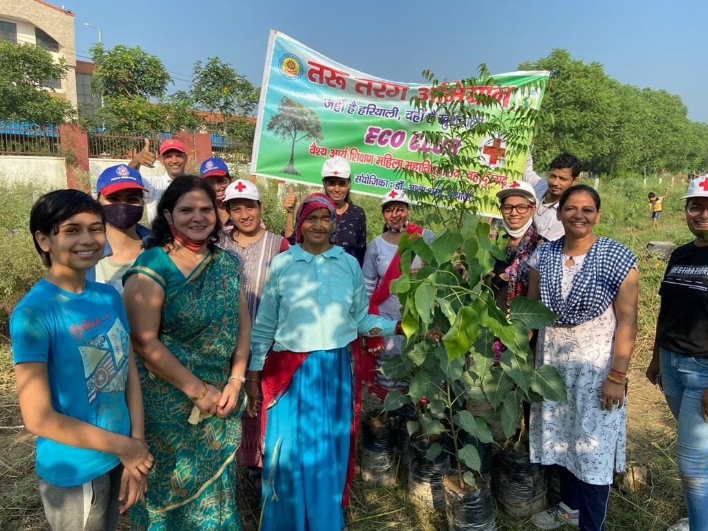 jhajjar bahadurgarh news,Environment lovers started Jungle-4