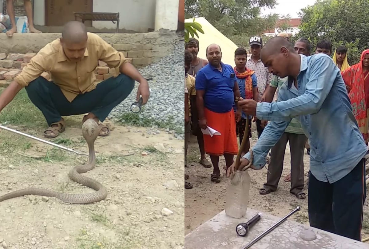Meet snake man of Varanasi mirzamurad ratan venomous snakes bow down in front of him see photos