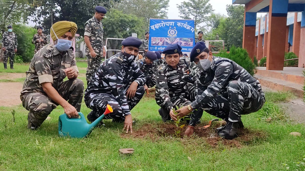 Plantation drive