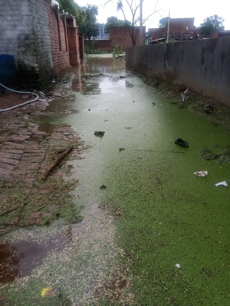 Flood in the pond of Kundanpur, water filled in many houses