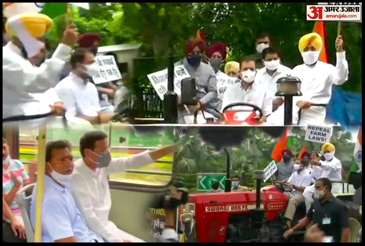Delhi: Congress leader Rahul Gandhi drives a tractor to reach Parliament in protest against the three farm laws