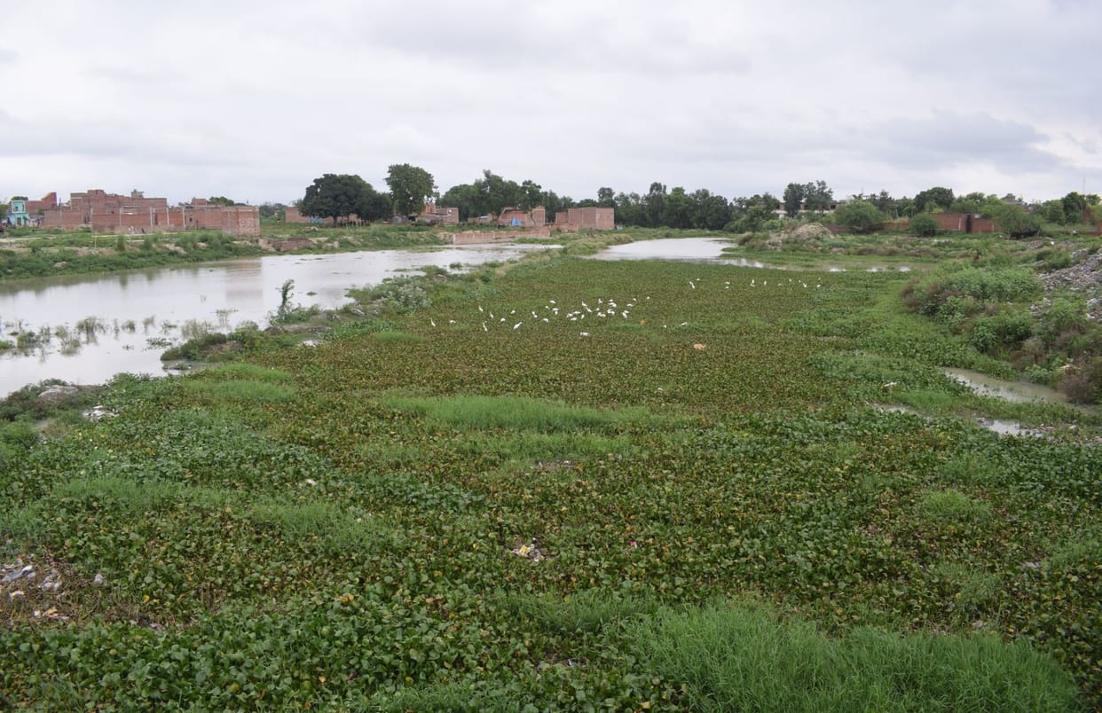 Water level increased in Ishan, rain water reached from Etah