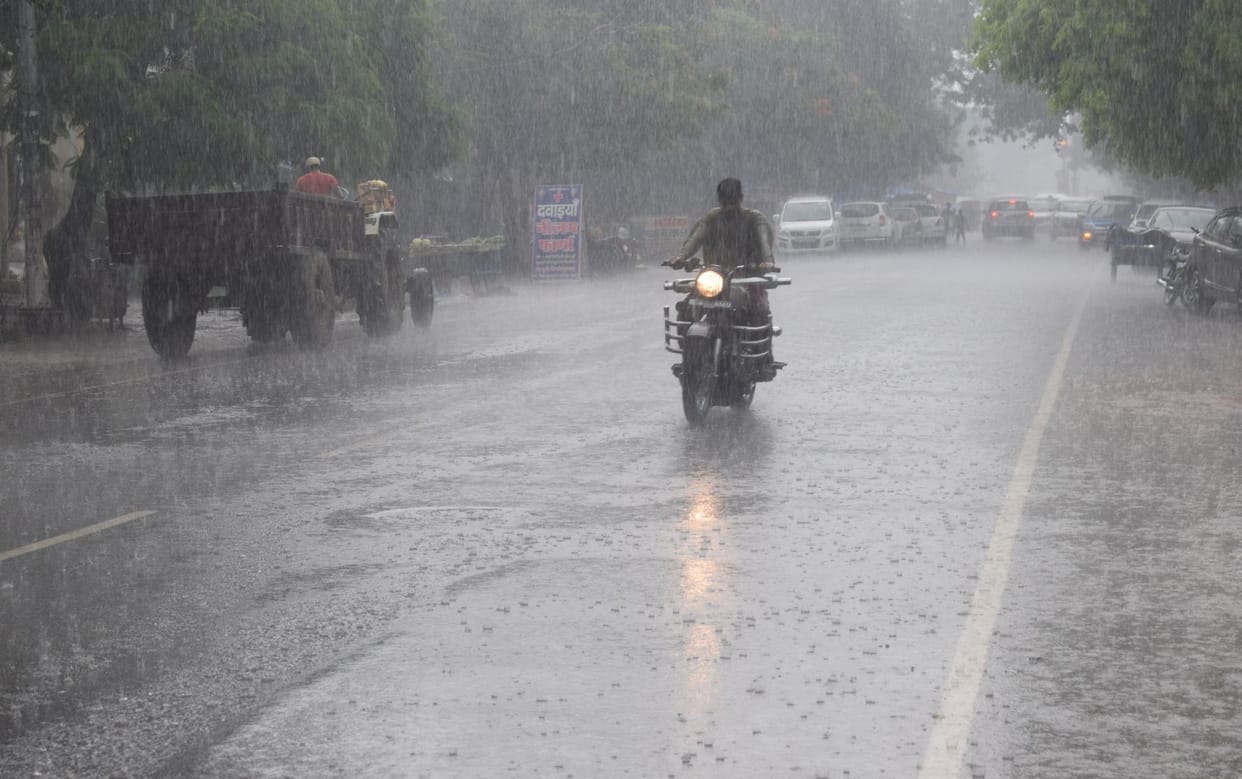 Forecast of rain with thunderstorms for five days