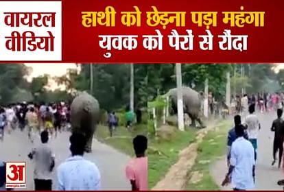हाथी ने युवक को पैरों से रौंदा