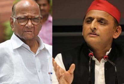 शरद पवार व अखिलेश यादव।