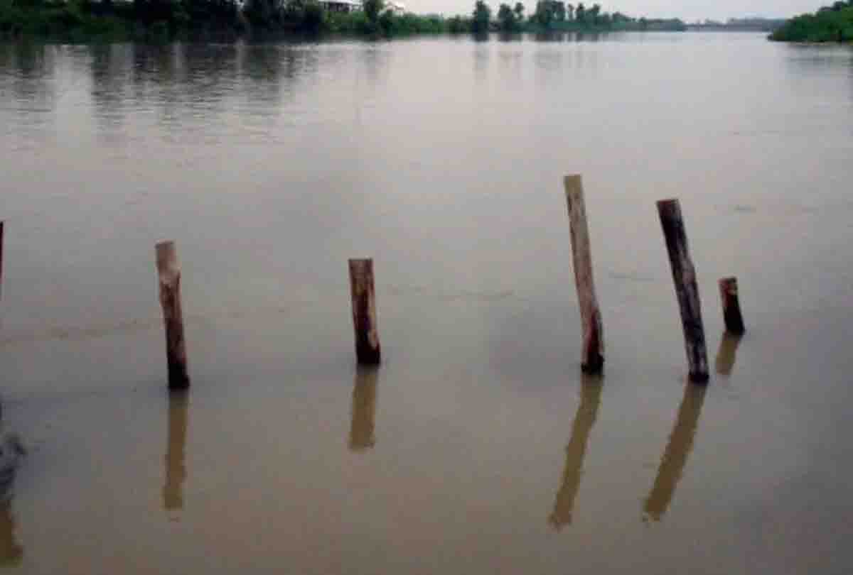 Ganga's water level rises in kanpur