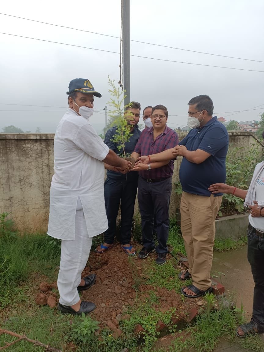 Family planted saplings in memory of martyr Ankush