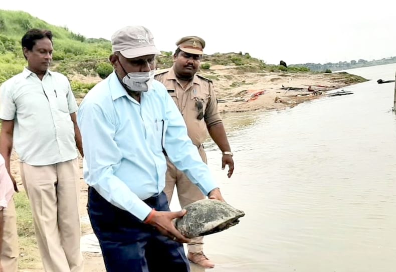 15 km area of district turtle century reserve