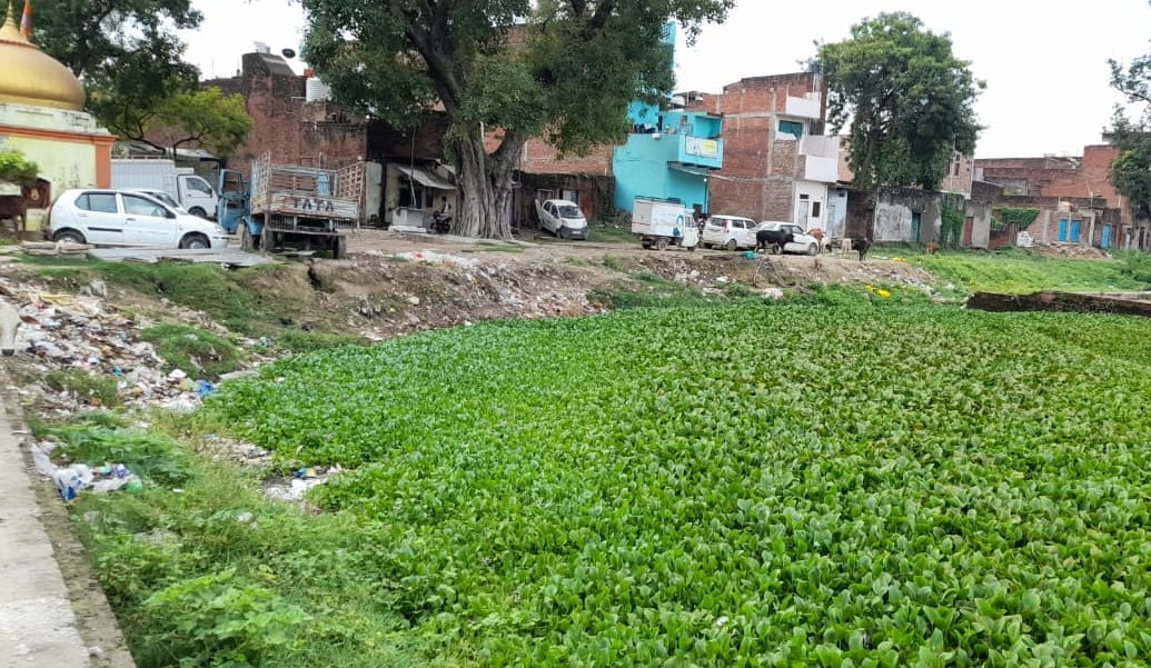 Bhadohi: Ancient pond in the grip of encroachment, rumbling dirt, difficult to stand due to foul smell