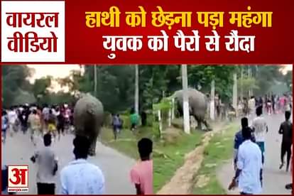 Angry elephant tramples young man with feet in Assam video viral on social Media