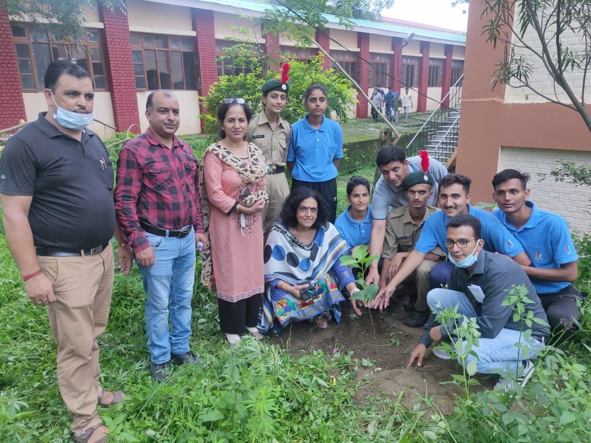 NCC cadets celebrated Van Mahotsav by planting medicinal plants