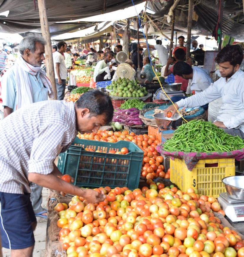 Tomato Price Hike