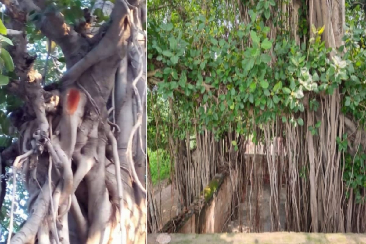 supernatural Shivling with eight eyelid in Baghpat where Lord Parshuram cursed Karna