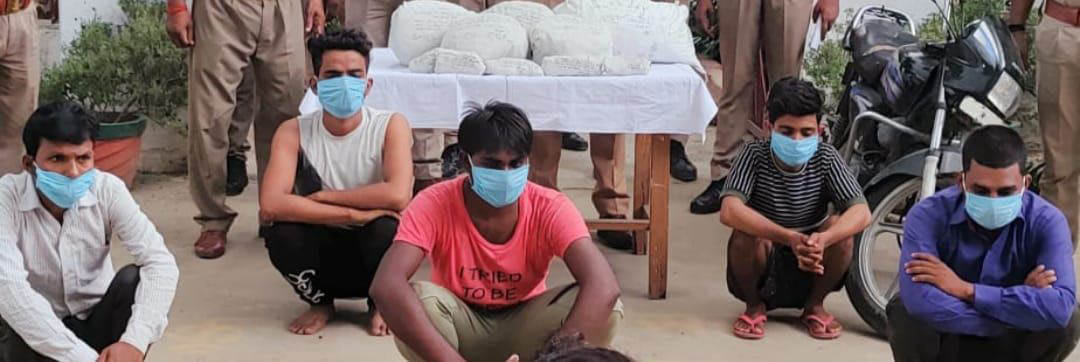 Five arrested with fourteen kilos of ganja