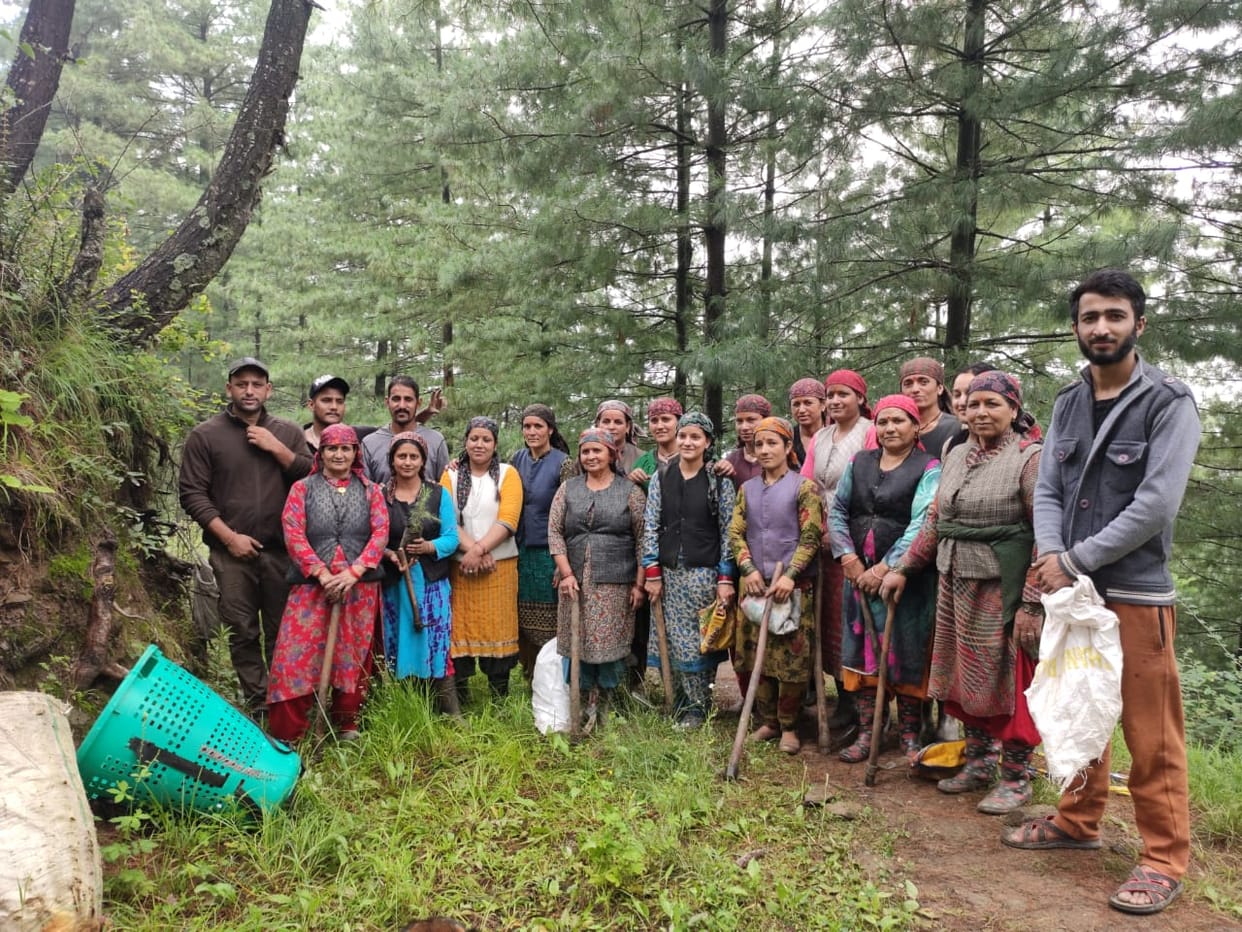tree plantation drive started in nagadhar and devnagar