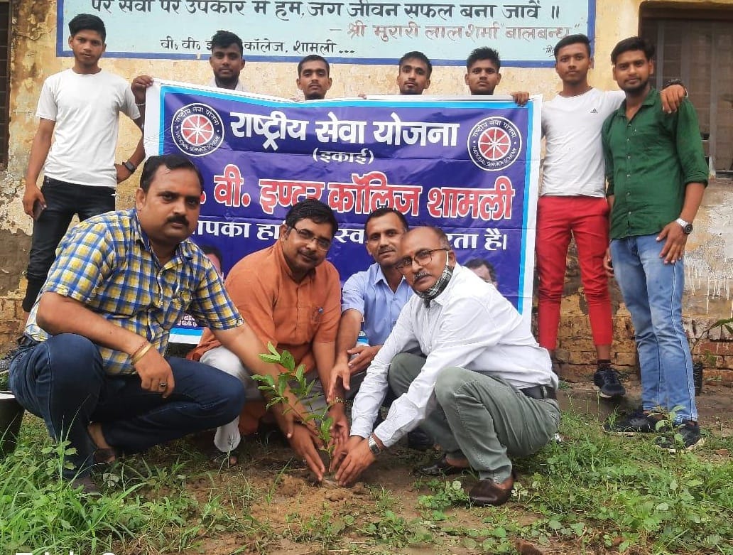 Volunteers planted saplings in the college