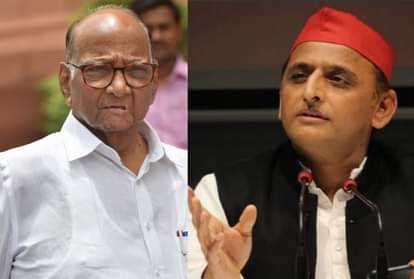 शरद पवार व अखिलेश यादव।