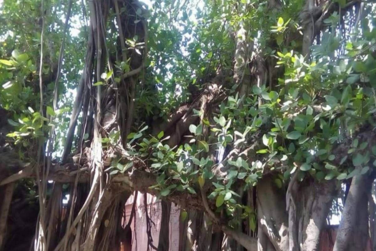 supernatural Shivling with eight eyelid in Baghpat where Lord Parshuram cursed Karna