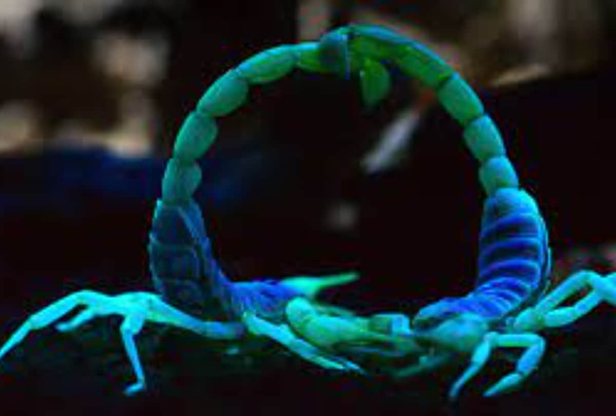 Nature Conservation Day these 6 web series show how our planet amazing