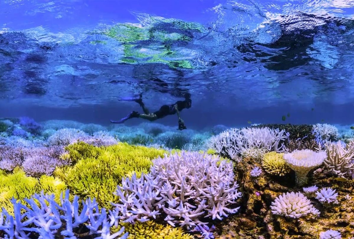 Nature Conservation Day these 6 web series show how our planet amazing