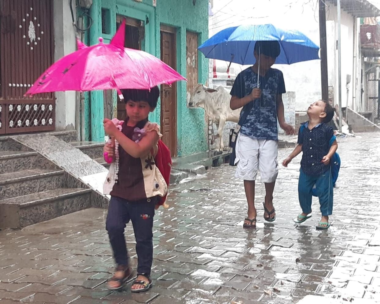 It rained throughout the day, the weather turned pleasant