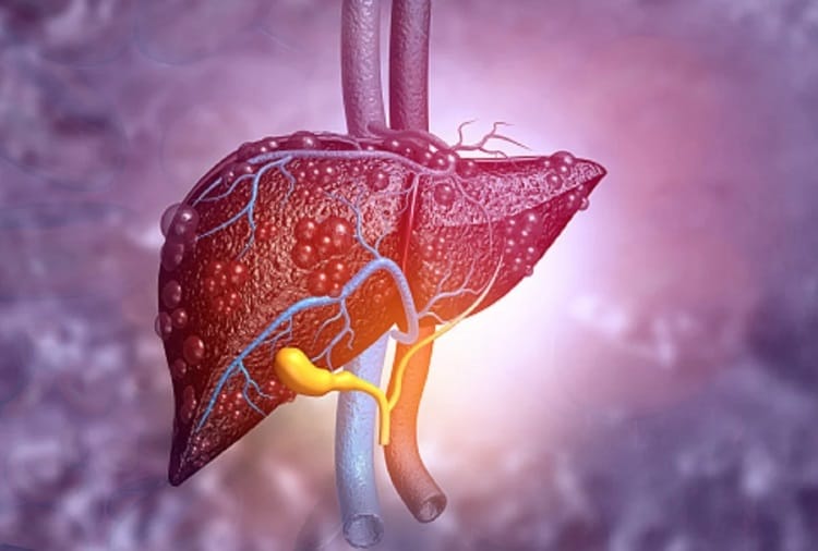 World Hepatitis Day: Corona Period made Liver Disease Serious at Chandigarh