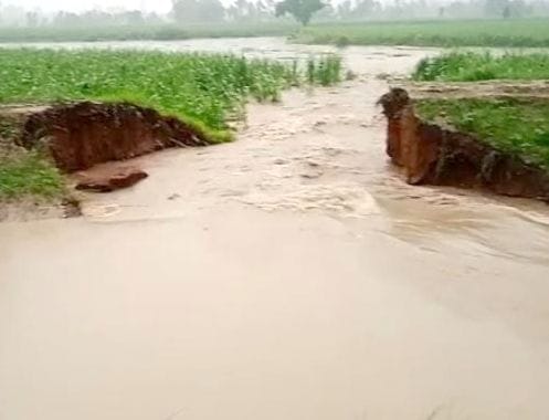 Canal track broken in village Shadipur Milak, crops submerged