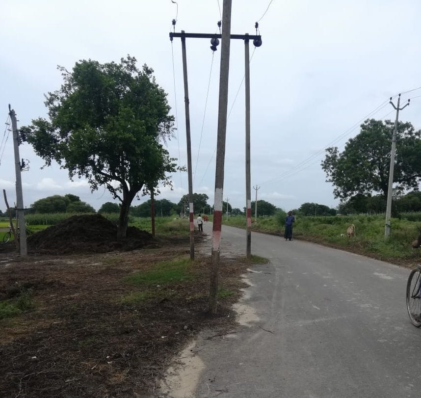 Playing with life: 25 pillars and two trees left in the middle of the road