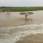 यमुना का जलस्तर