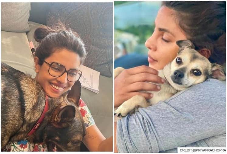 Priyanka Chopra shares her London summer photo album See Viral Pictures