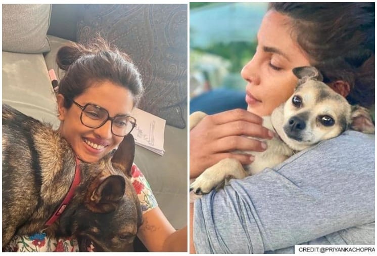Priyanka Chopra shares her London summer photo album See Viral Pictures