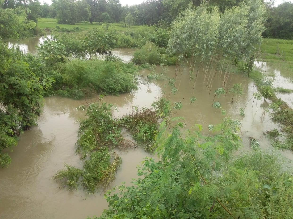 rain fal