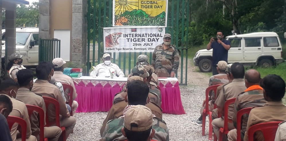 Tigers will be protected with the help of the public