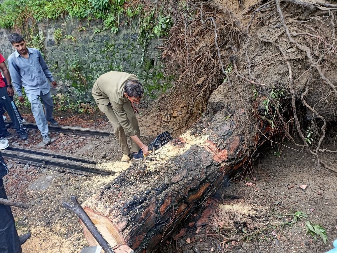 Tree fell on Kalka-Shimla track, train stayed for four hours