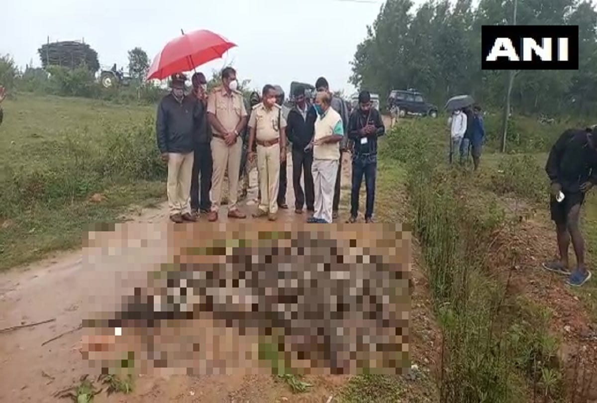 At least 46 monkeys were found dead at Sakleshpur in Karnataka Hassan district on late Wednesday night