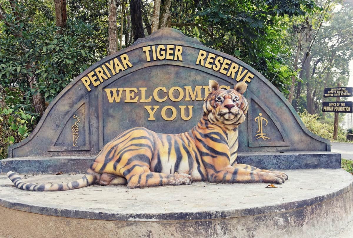 International Tiger Day 2021 These are the five big tiger reserves of India