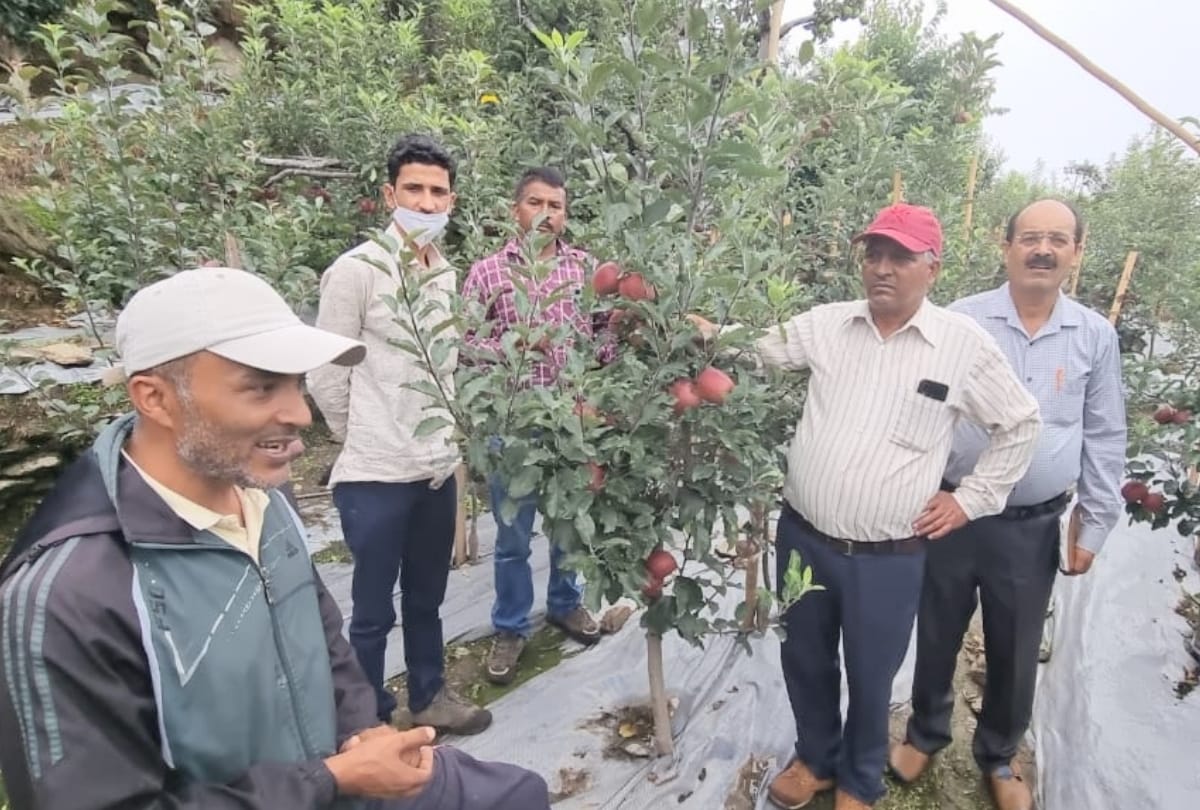 new variety apple orchard will be developed in uttarakhand team visited himachal pradesh