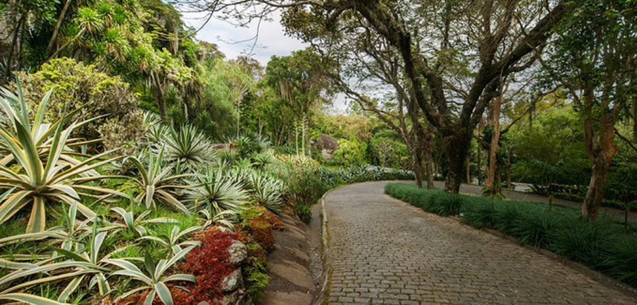 Brazil: Late architect Roberto Burle Marx residence gets UNESCO World Heritage status