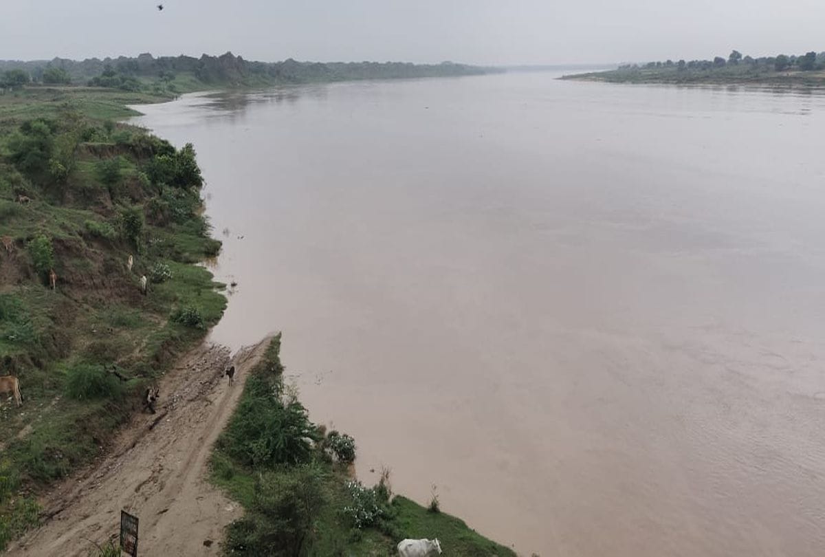 Water Lavel Of Chambal River Increased After Rain Up And Mp