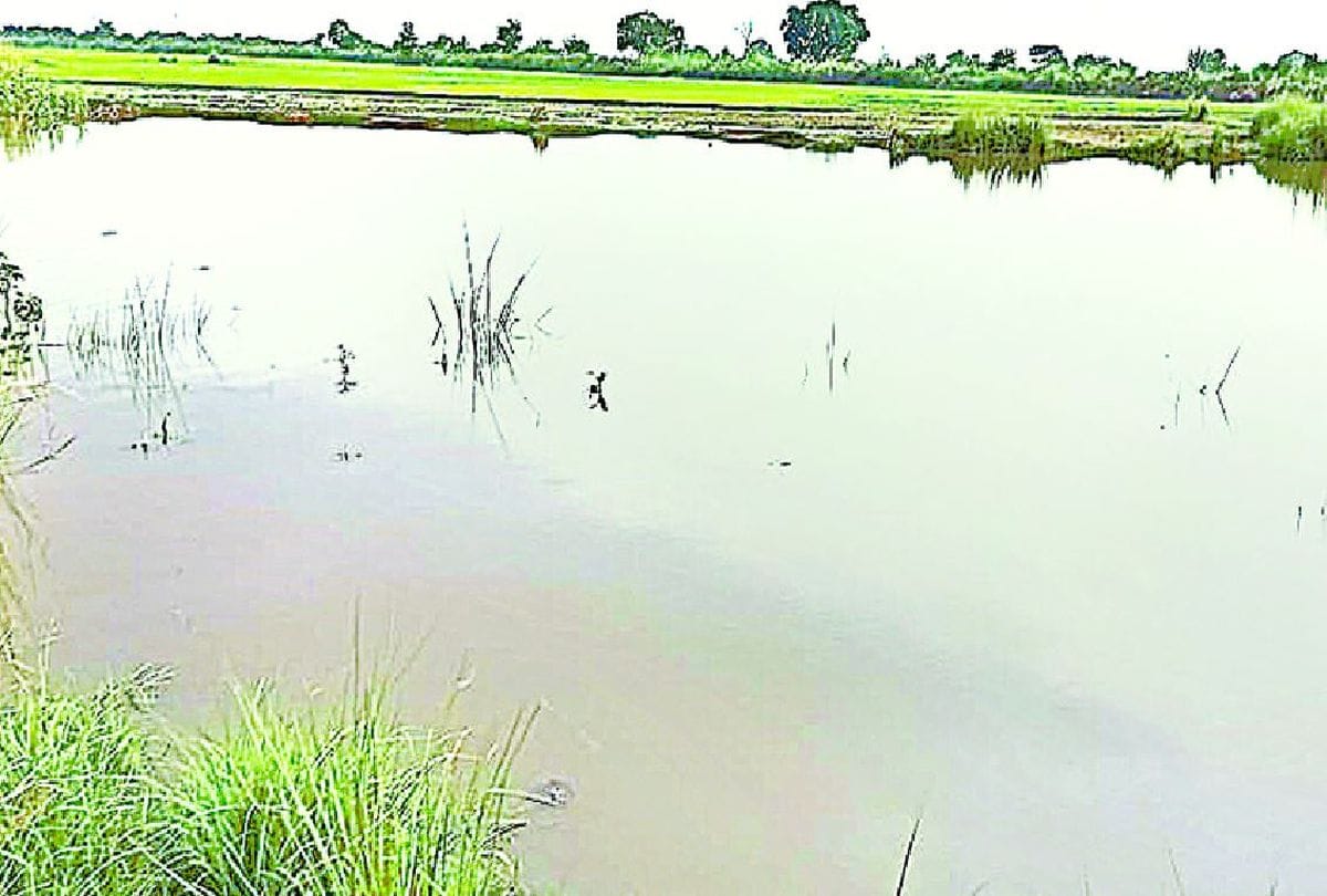 11 Year Old Boy Died By Drowning In A Pit Filled With Water In Mainpuri