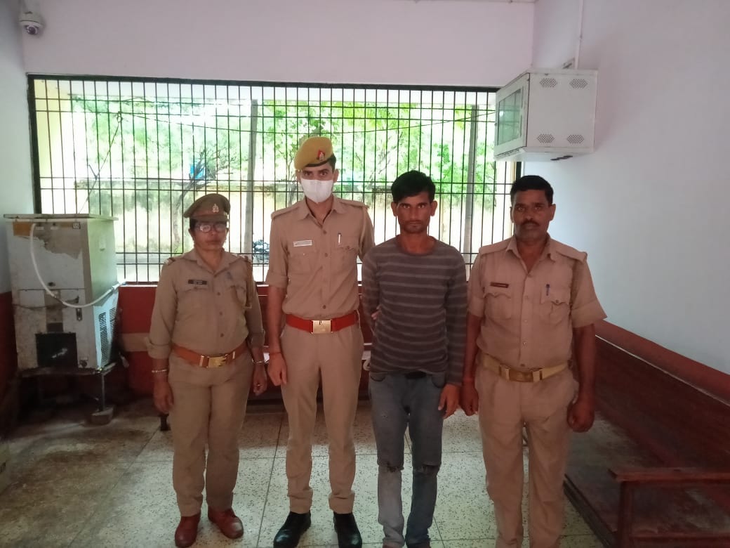 etawah news,Cow smugglers arrested, 25 cows recovered